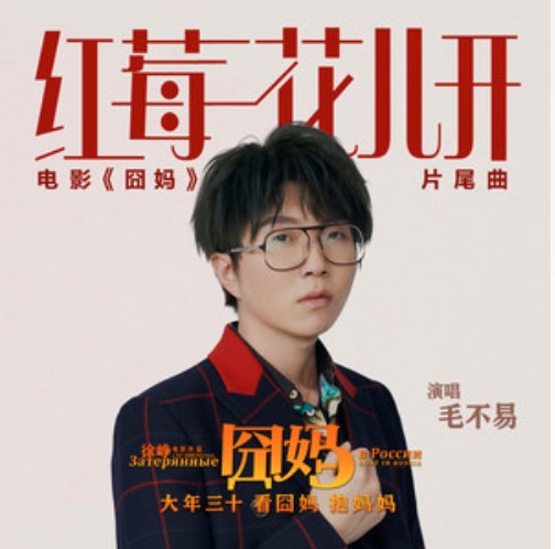 红莓花儿开（毛不易演唱的电影《囧妈》片尾曲）