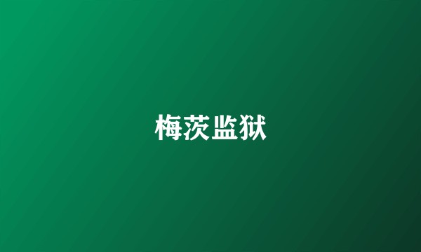 梅茨监狱