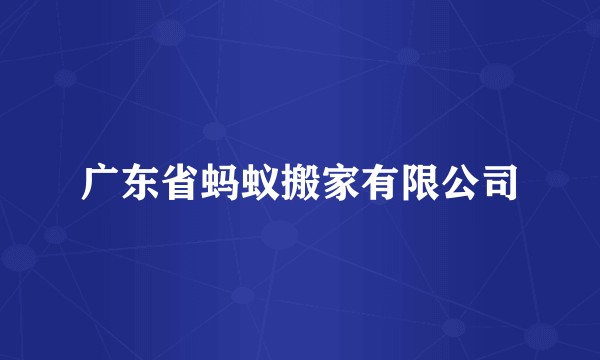 广东省蚂蚁搬家有限公司