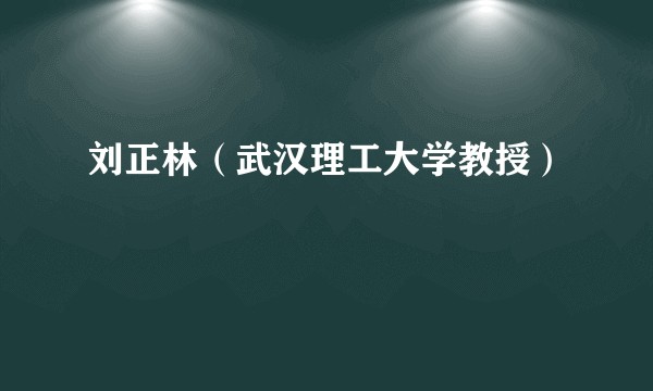 刘正林（武汉理工大学教授）