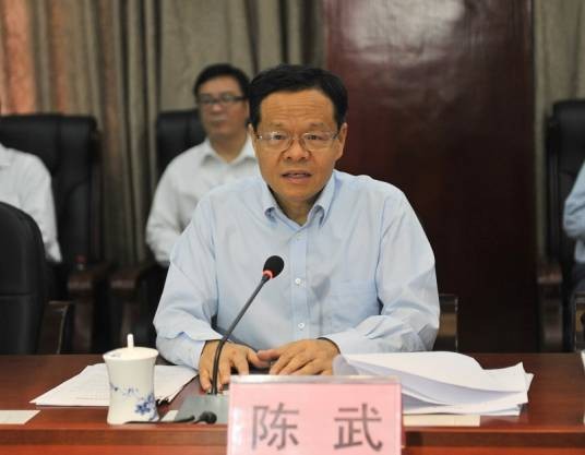 陈武(国民党高级将领)