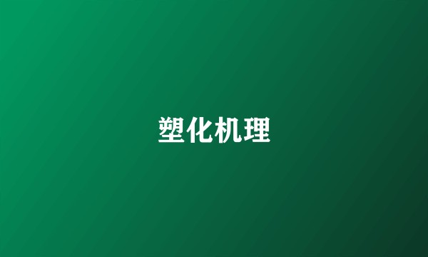 塑化机理