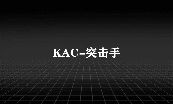 KAC-突击手