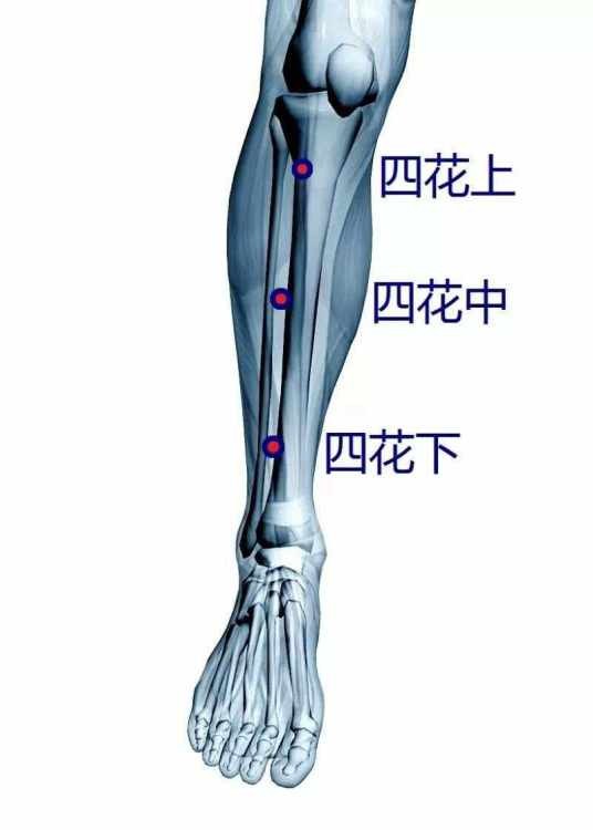 四花穴