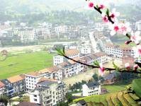 桃源镇（江苏省苏州市吴江区辖镇）