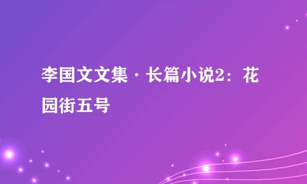 李国文文集·长篇小说2:花园街五号
