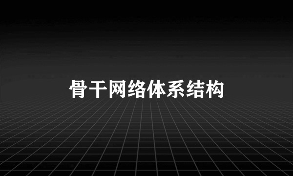骨干网络体系结构
