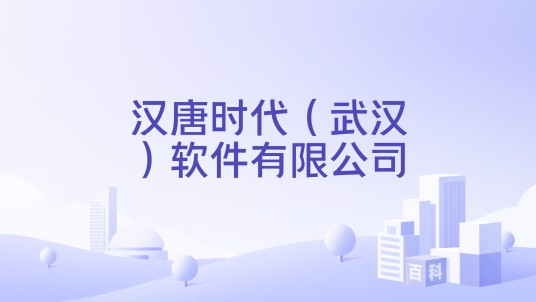 汉唐时代（武汉）软件有限公司