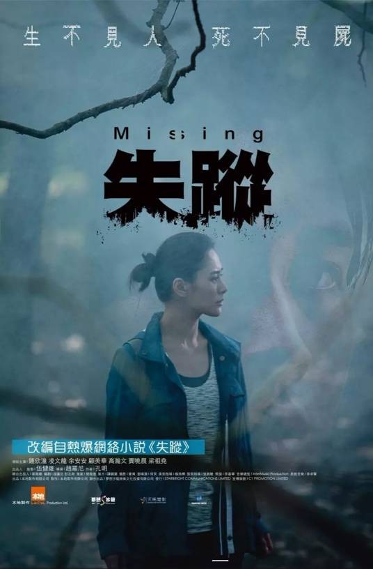 失踪（2019年赵罗尼执导电影）