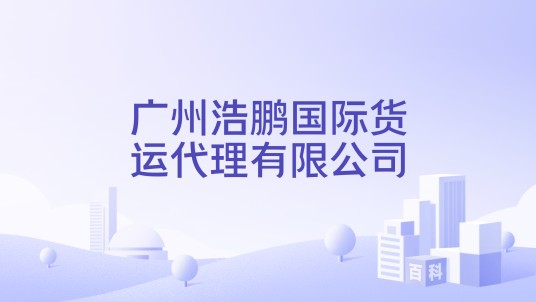 广州浩鹏国际货运代理有限公司
