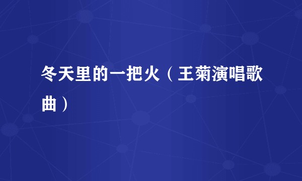 冬天里的一把火（王菊演唱歌曲）