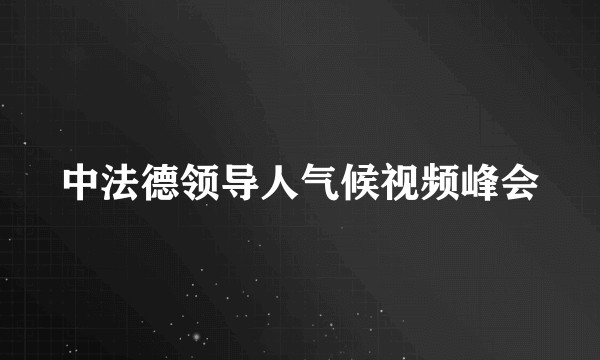 中法德领导人气候视频峰会