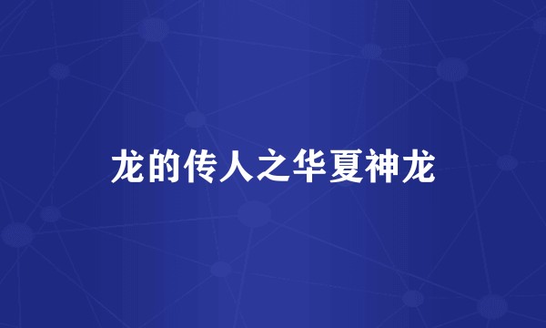龙的传人之华夏神龙