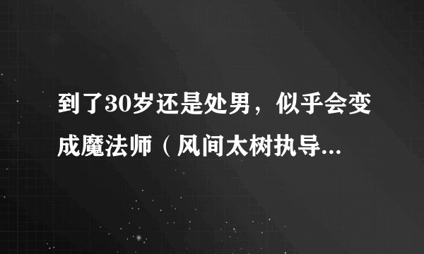 到了30岁还是处男，似乎会变成魔法师（风间太树执导，赤楚卫二主演的电影）