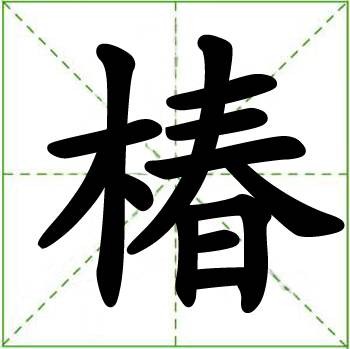 椿（汉语汉字）