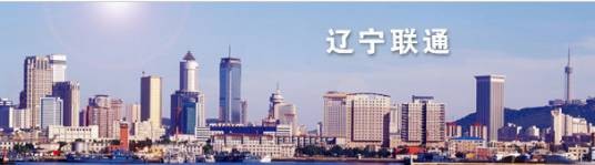 中国联合网络通信有限公司辽宁省分公司