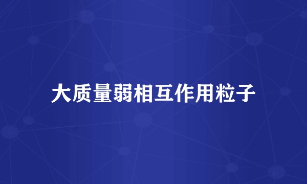 大质量弱相互作用粒子