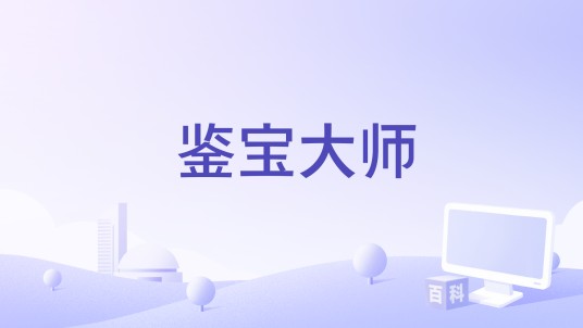 鉴宝大师（常照华编剧的电影）
