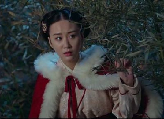 佩儿（电视剧《琅琊榜之风起长林》中的人物）