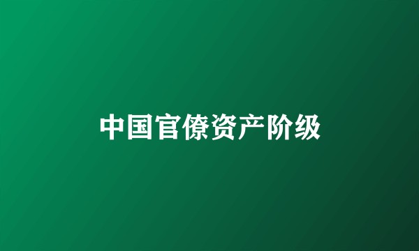 中国官僚资产阶级