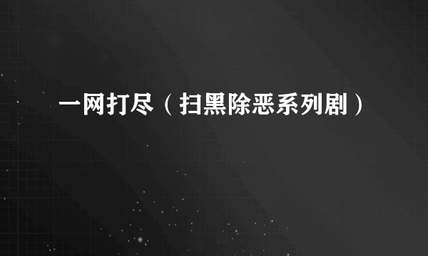 一网打尽（扫黑除恶系列剧）