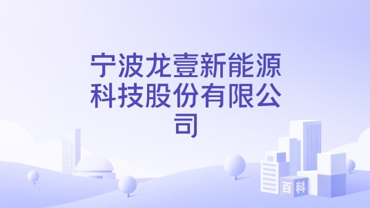 宁波龙壹新能源科技股份有限公司