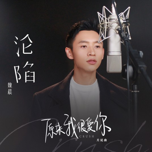 沦陷(2021年魏晨演唱歌曲)