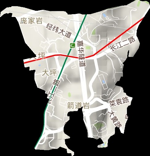 大坪街道（重庆市渝中区下辖街道）