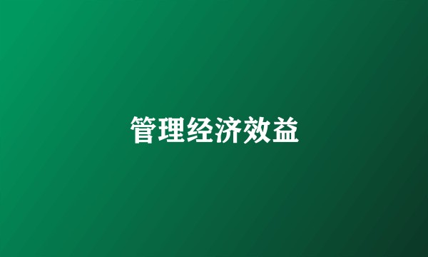 管理经济效益