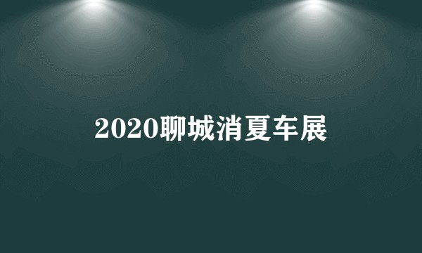2020聊城消夏车展