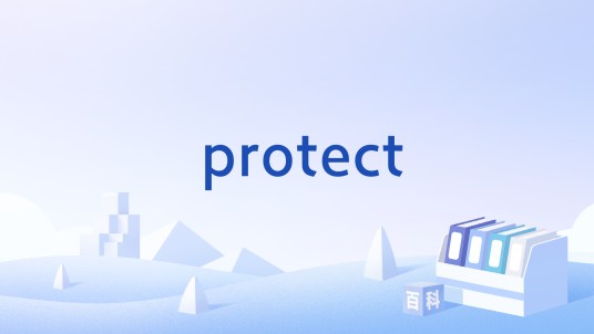 protect（编程术语）