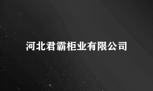 河北君霸柜业有限公司