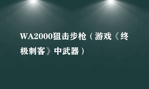 WA2000狙击步枪（游戏《终极刺客》中武器）