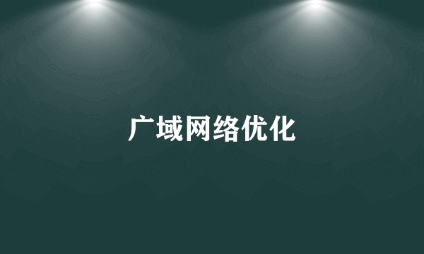 广域网络优化