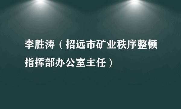 李胜涛（招远市矿业秩序整顿指挥部办公室主任）