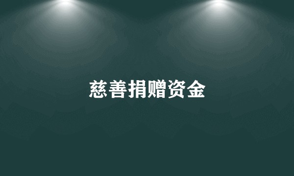 慈善捐赠资金