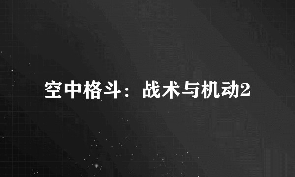 空中格斗：战术与机动2