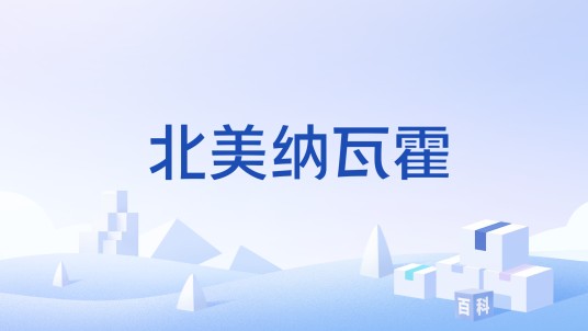 北美纳瓦霍