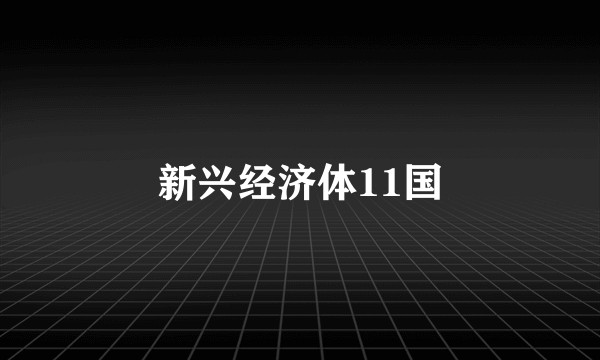 新兴经济体11国