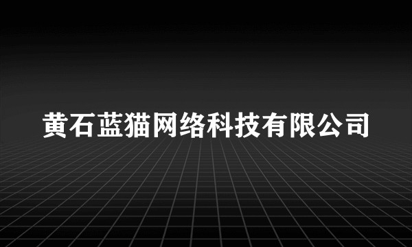 黄石蓝猫网络科技有限公司