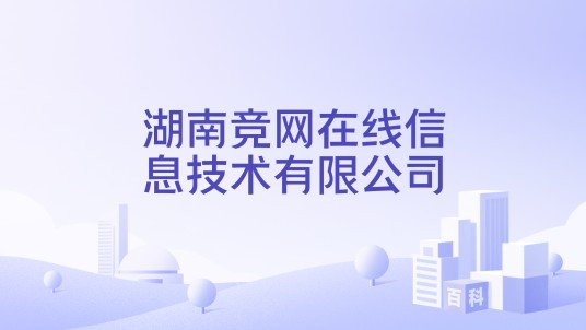 湖南竞网在线信息技术有限公司