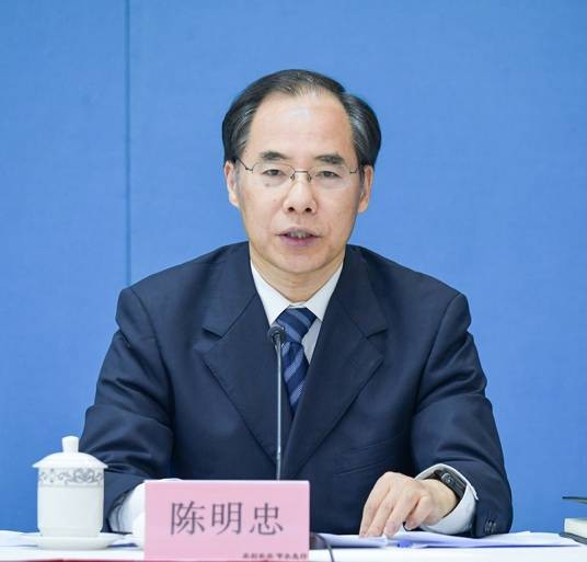 陈明忠（中国国家灌排委员会主席）