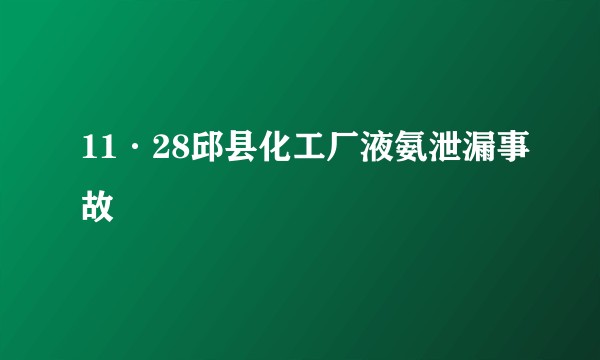 11·28邱县化工厂液氨泄漏事故
