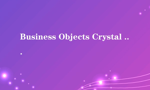 Business Objects Crystal Reports V10 开发版（5用户）