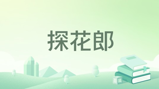 探花郎（若初文学网小说）