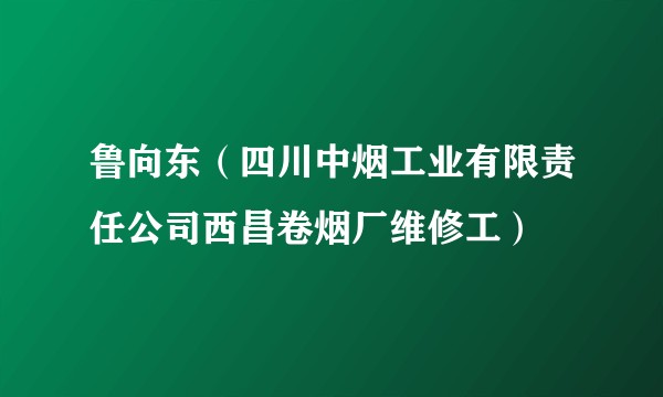 鲁向东（四川中烟工业有限责任公司西昌卷烟厂维修工）