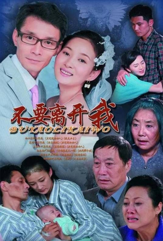 不要离开我（2011年王力执导的电视剧）