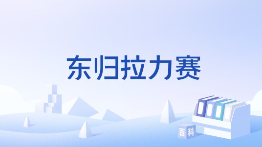 东归拉力赛