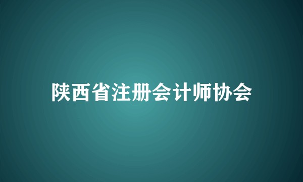 陕西省注册会计师协会