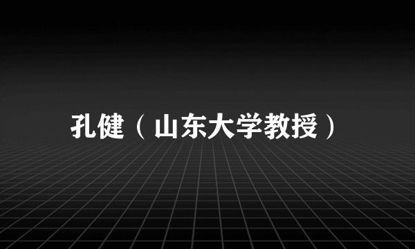 孔健（山东大学教授）